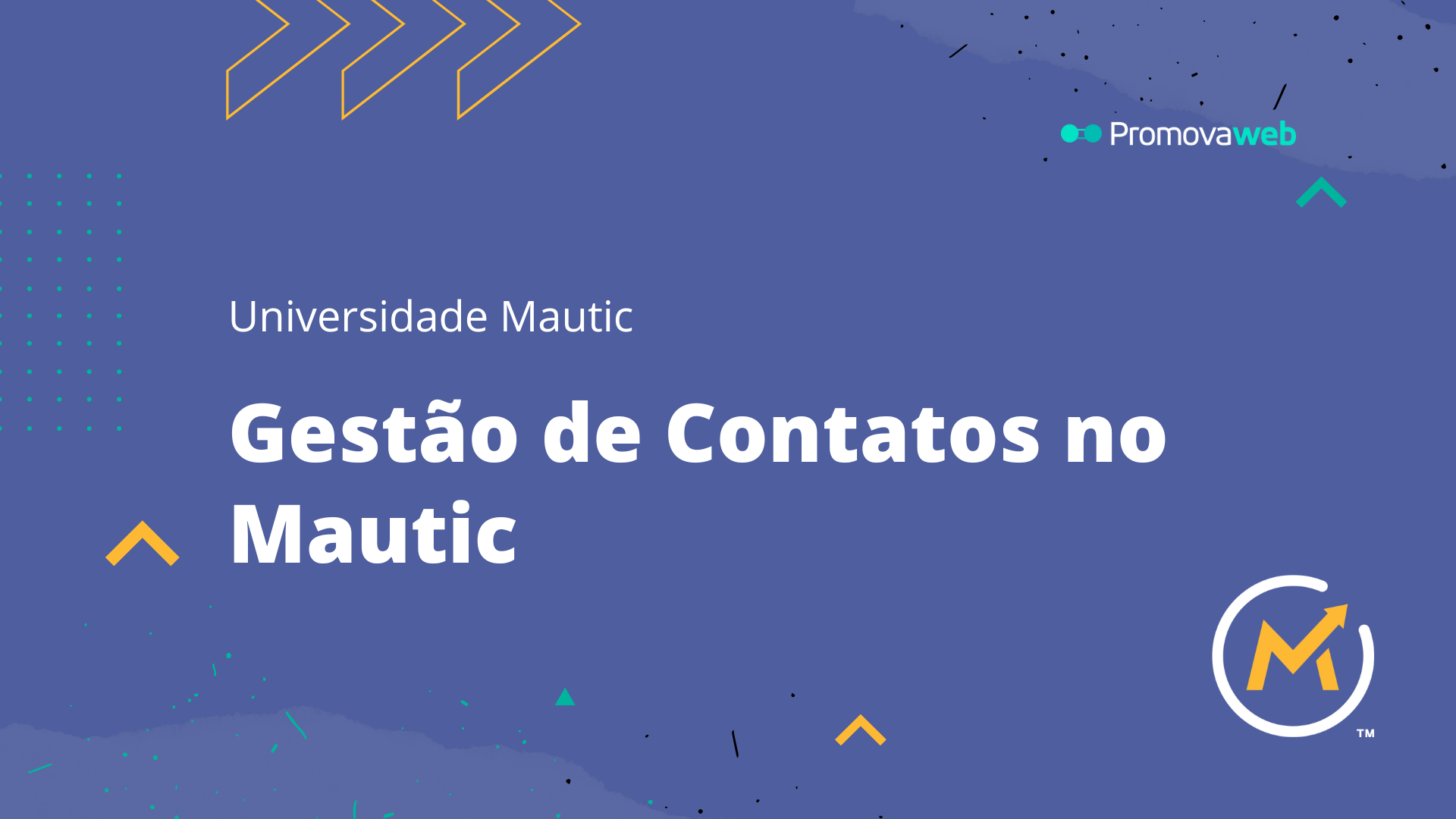 Gestão de Contatos no Mautic