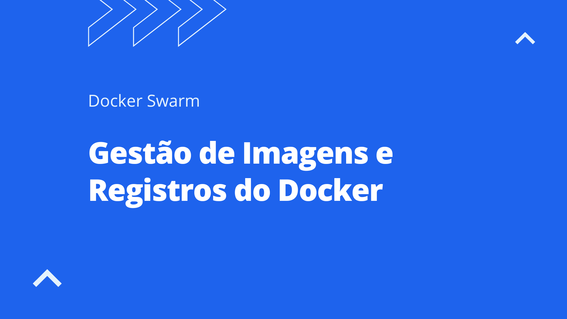 Gestão de Imagens e Registros do Docker